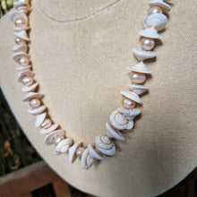 Freshwater pearls and shell necklace, length 21"