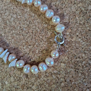 Freshwater pearls and shell necklace, length 21"
